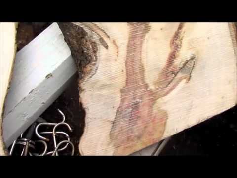 Видео: Распил клена и фруктовых.