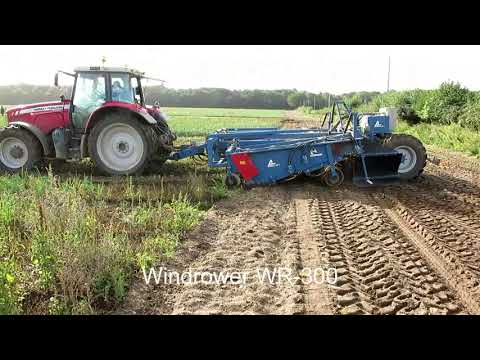 Видео: Вся луковая техника