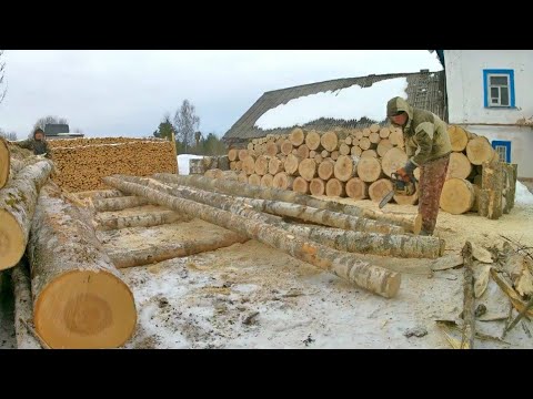 Видео: Купили лесовоз смеси осины с березой.Распилка дров.