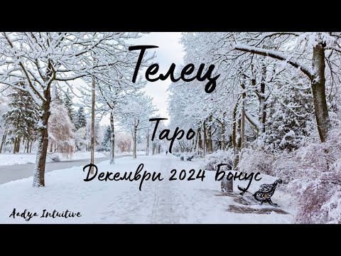 Видео: Телец ♉ Таро 🌻 Протекция! Декември Бонус'24