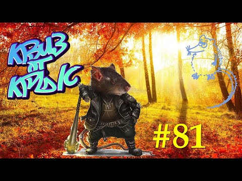 Видео: КВИЗ от КРЫС эпизод 81 QUIZ ot KRYS ep #81