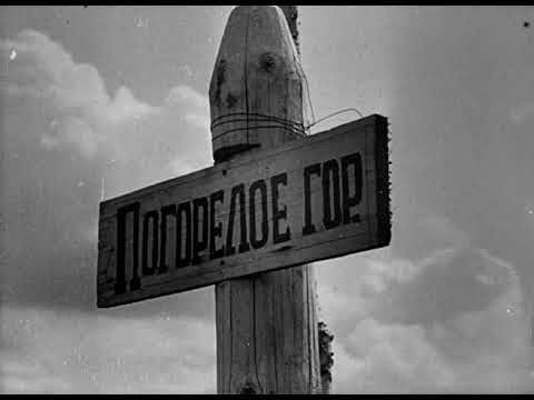 Видео: Эксклюзивная кинохроника времён ВОВ из Ржевского района