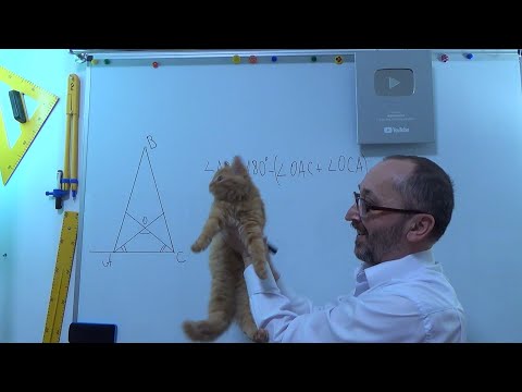 Видео: g071602 Сума кутів трикутника Задача - 7 клас