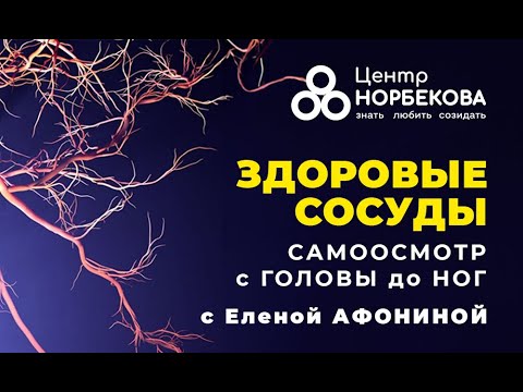 Видео: Открытый вебинар "Здоровые сосуды" с Еленой Афониной 9 Ноября в 20:00