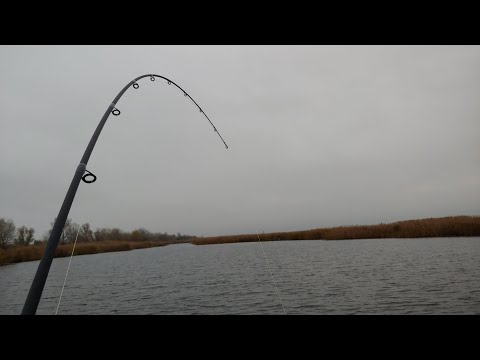 Видео: Троих одним выстрелом ОБНОВКА АРСЕНАЛА