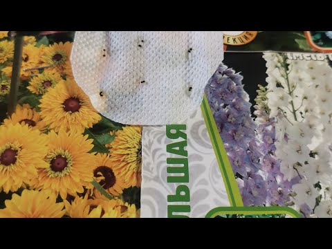 Видео: Оригинальный метод посадки семян, пока на дачу не попасть.