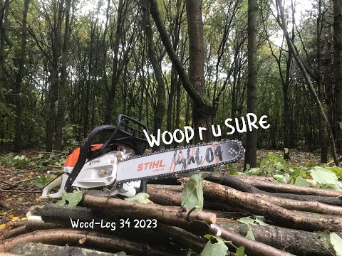 Видео: WoodSure, это для меня? Продажа дров. Управление небольшим лесным массивом. Видеоблог о лесах №34...