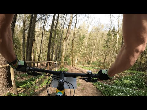 Видео: Жук-трейл #28 | ВЕЛО42