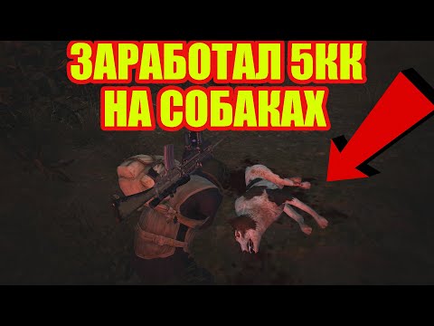 Видео: ЛЮТЫЙ ФАРМ.ЗАРАБОТАЛ 5 КК НА СОБАКАХ.РАЗБИТЫЙ КОЛОКОЛ.СТАЛКЕР ОНЛАЙН.STAY OUT