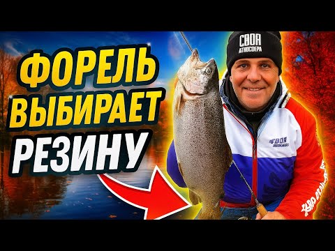 Видео: Форель ЖАДНО ХВАТАЕТ РЕЗИНУ Рыбалка на спиннинг Ловля форели осенью