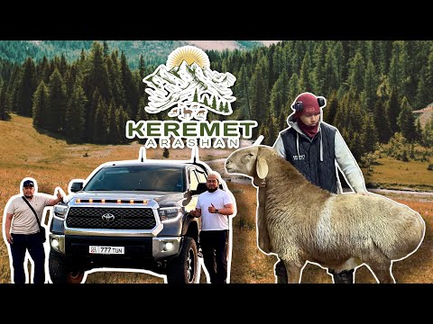 Видео: Керемет чарбасы +996 706 320 144 #arashan #2025 