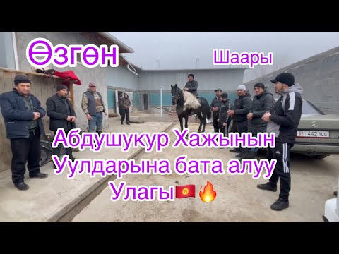 Видео: 🇰🇬1-Болум Өзгөн шаары, Абдушукур аажынын улагы!