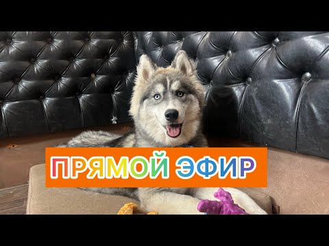 Видео: Добрый вечер !!!!!