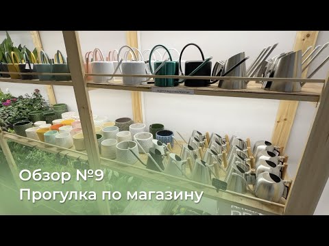 Видео: Обзор магазина растений "Plants Bel House" в Санкт-Петербурге. Растения и сопутствующие товары.