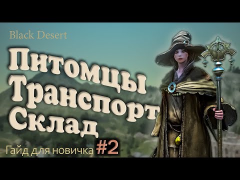 Видео: №2 Транспорт в бдо какого коня выбрать Питомцы в Гайд для новичка в Black Desert 2023