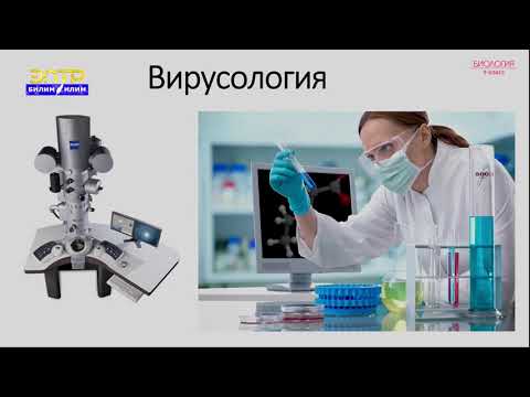 Видео: 9-класс | Биология | Организмдердин көп түрдүүлүгү,жашоонун клеткалык жана клеткасыз формасы
