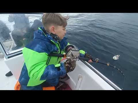 Видео: Морская рыбалка на Кольском