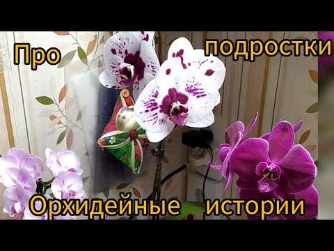 Видео: Поговорим о подростках. Подведем итоги.