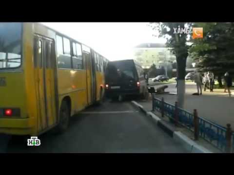Видео: Хамы