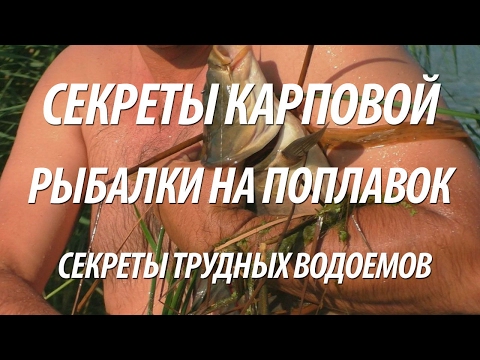 Видео: КАК ПОЙМАТЬ КАРПА НА ПОПЛАВОЧНУЮ УДОЧКУ. СЕКРЕТЫ ПЛАТНОЙ КАРПОВОЙ РЫБАЛКИ НА ТРУДНЫХ ВОДОЕМАХ