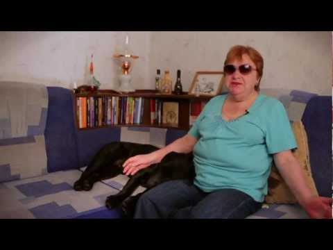 Видео: 2+4. Фильм о слепых и поводырях