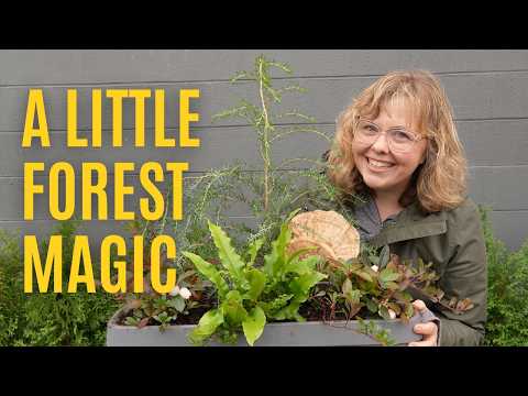 Видео: Зимний оконный ящик, который вы захотите скопировать 🌲