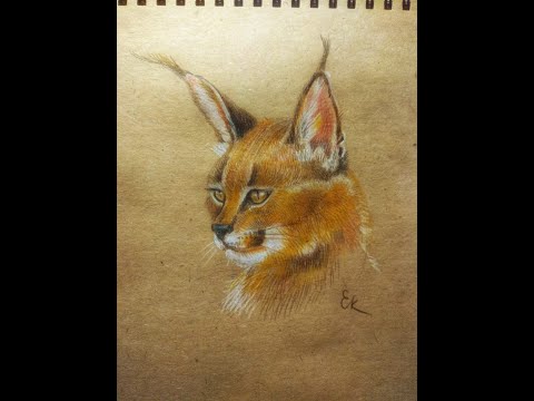 Видео: что прилетит во время кармического коридора