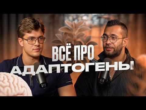 Видео: Как адаптогены меняют ваше самочувствие и повышают выносливость?