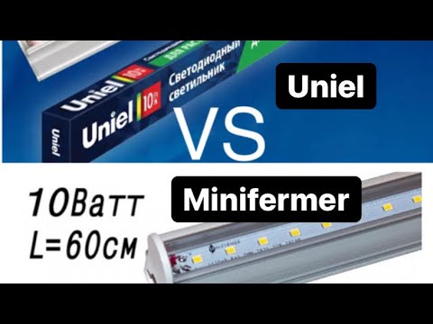 Видео: ОСВЕЩЕНИЕ для Фиалок. Лампы Minifermer. Обзор и сравнение с Uniel. Эксперимент «ДО и ПОСЛЕ».