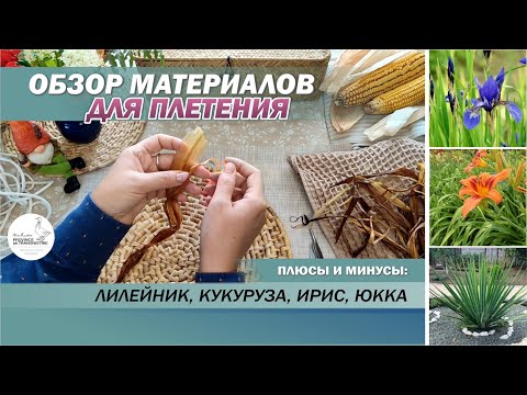 Видео: Сравнение материалов для плетения: лилейник, кукуруза, юкка и ирис. Плетение из природных материалов