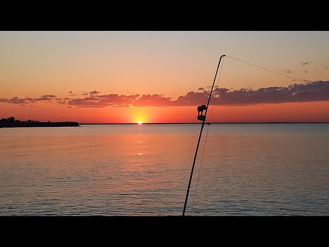 Видео: Рыбалка на Балхаше / Судак на резинку / Часть 2