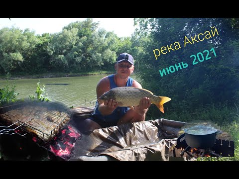 Видео: Рыбалка на реке Аксай, ловля сазана.