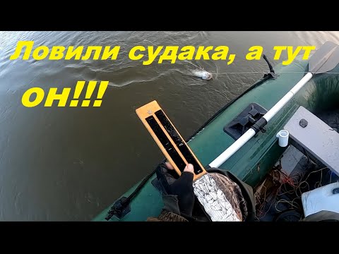 Видео: Рыбалка на Оке/на живца/8 октября/неожиданный выход налима в +15С