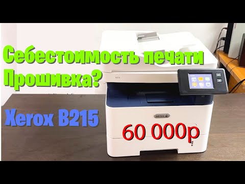 Видео: Разбираемся с Xerox b215. Сколько стоит копия, как с ним жить?