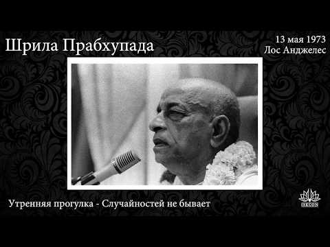 Видео: Случайностей не бывает, беседа на утренней прогулке, 13 мая 1973