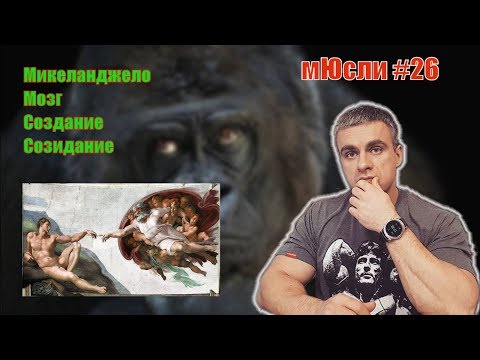 Видео: Нейромышечная связь. Создание себя. Созидание. Микеланджело. Сашины мЮсли #26