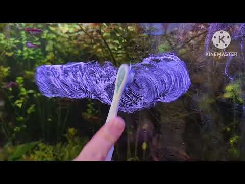 Видео: Поцарапанное стекло аквариума для рыб: КАК УБРАТЬ царапины #царапина #хакер #какисправить #ремонт