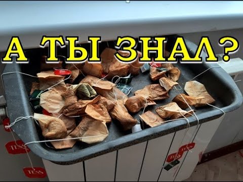 Видео: Кухонные отходы: что я собираю зимой для огорода, а что нет