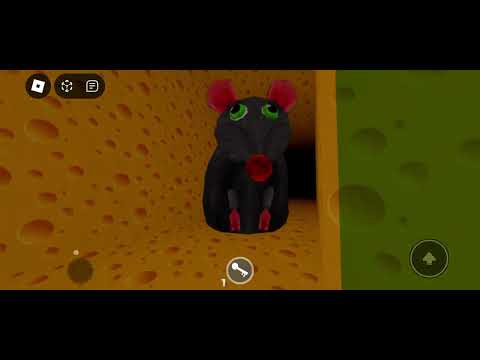 Видео: тупая крыса мешает мне 😡 Roblox cheese escape