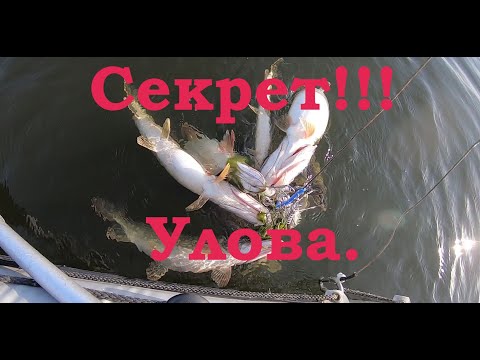 Видео: ЛУЧШИЙ ВОБЛЕР НА ЩУКУ!  САМЫЙ Уловистый мой Воблер!