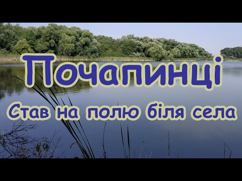 Видео: Почапинці (На полю)