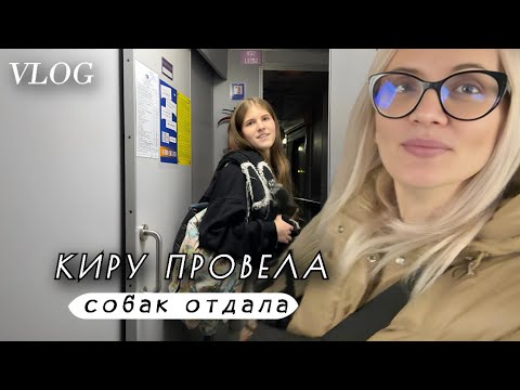 Видео: Меняем чемодан.  Обустраиваю холодильник. Отдаю собак и  провожаю Киру.