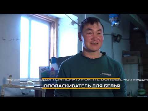 Видео: Мастер-класс по выделке овечьих шкур. 2020 г. 6+