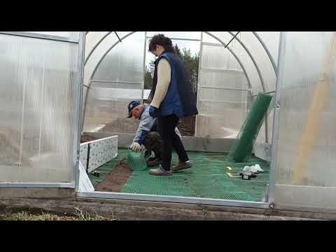 Видео: Старая теплица на новый лад.