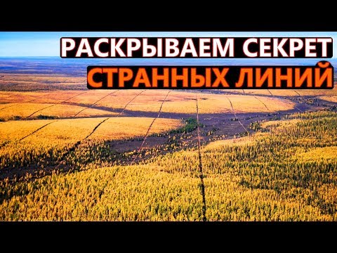Видео: ЗАГАДКИ ТАЙГИ | РАСКРЫВАЕМ СЕКРЕТ СТРАННЫХ ЛИНИЙ