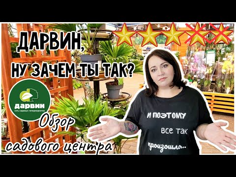 Видео: Обзор растений в садовом центре Дарвин. Стоит ли ехать? Цены и ассортимент