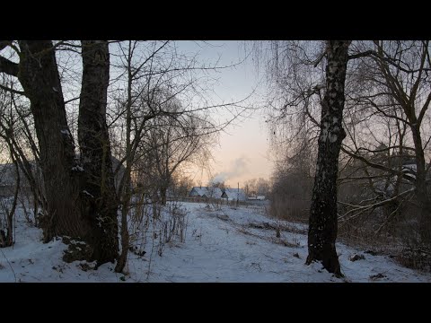 Видео: Часть 1. Зимняя прогулка в лесу.