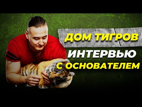 Видео: Как живет хоспис для тигров. Интервью с основателем Дома Тигра