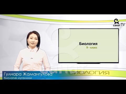 Видео: Биология 9 класс 46 сабак