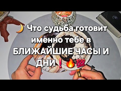 Видео: 🌒💫🎁Что судьба готовит тебе в ближайшие дни /НЕОЖИДАННО 🔥